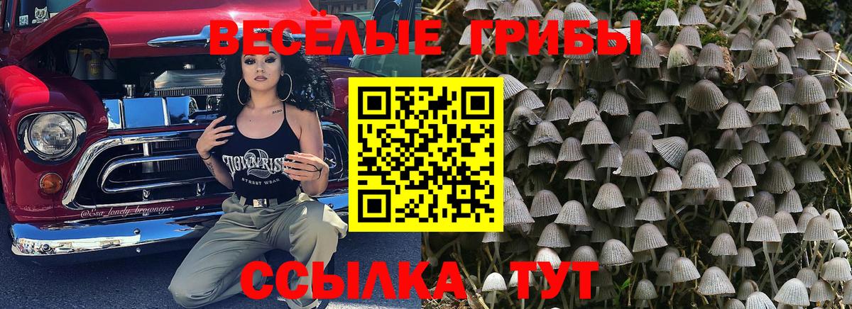 Жигулёвск  Галлюциногенные грибы Psilocybe  Вход с VPN 